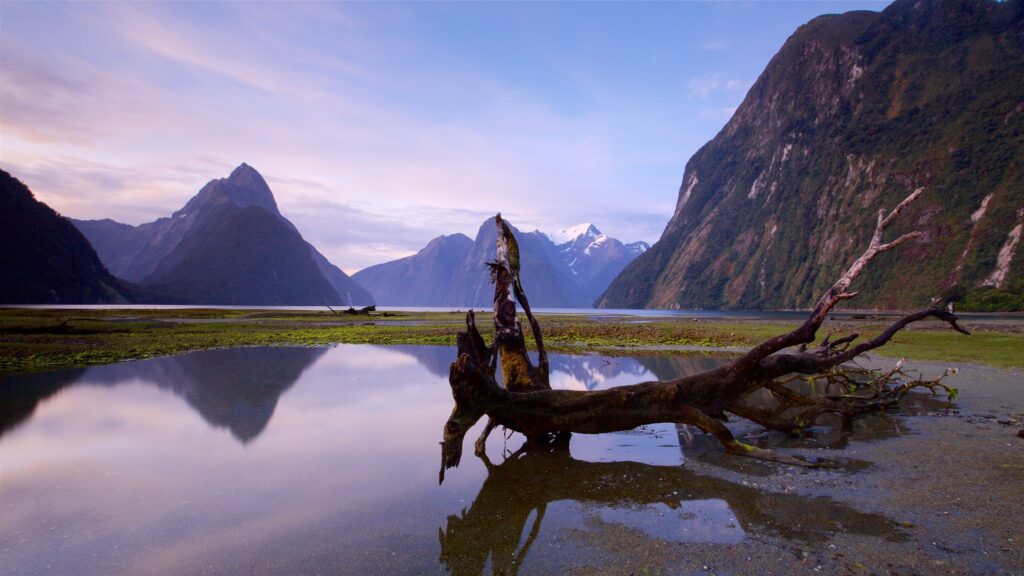 Menemukan Pesona Alam: Rekomendasi Wisata di Selandia Baru 