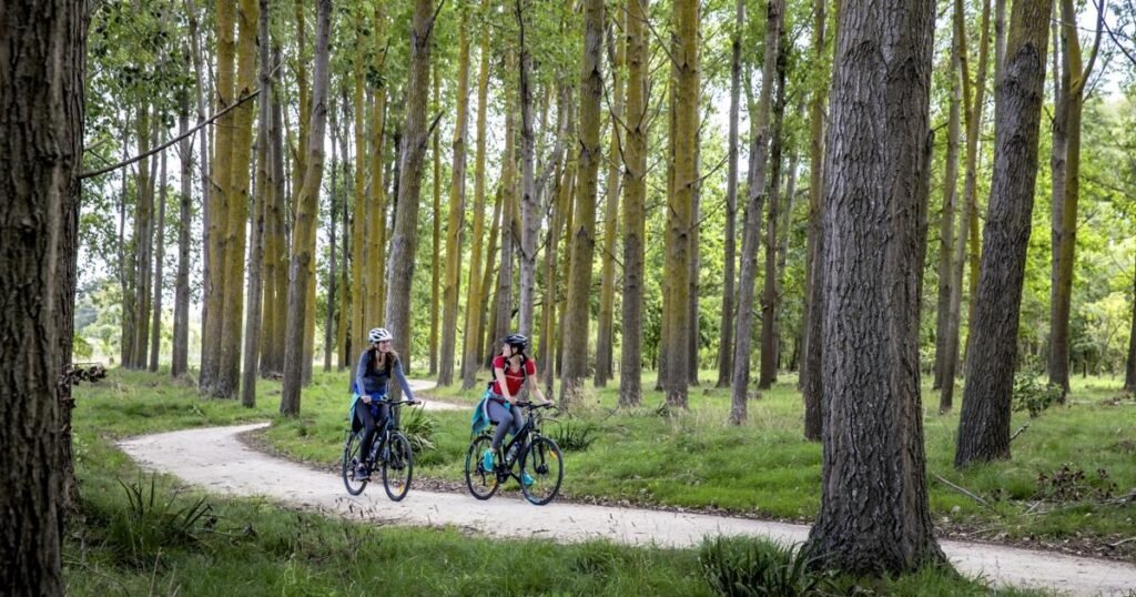 Petualangan Dengan Takaro Trails di Gisborne di New Zealand